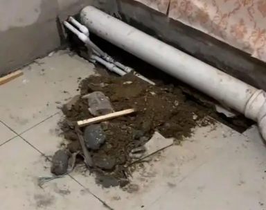 迎江卫生间漏水检测哪家好